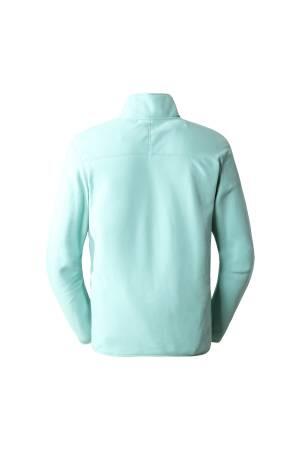 100 Glacıer 1/4 Zıp - Eu Erkek Polar SweatShirt - NF0A5IHP Mint Yeşili - 2