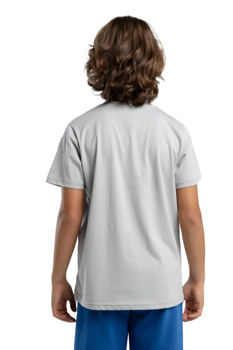 Authentic Jake Erkek Çocuk T-Shirt - 38257LW Gri - 3