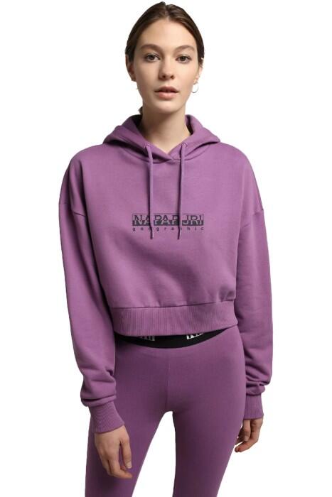 B-Box W Crop H S 2 Kadın SweatShirt - NP0A4G8X Mor