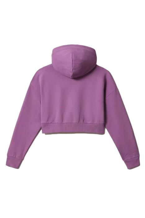 B-Box W Crop H S 2 Kadın SweatShirt - NP0A4G8X Mor