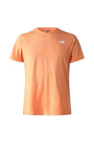 D2 Graphic Erkek T-Shirt - NF0A83FQ Somon - 1