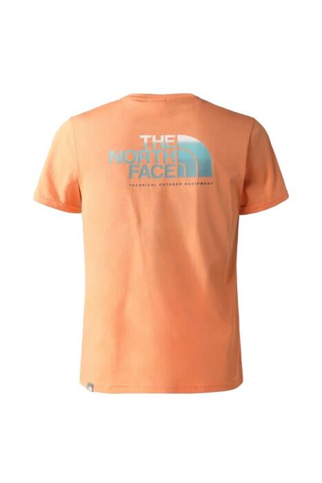 D2 Graphic Erkek T-Shirt - NF0A83FQ Somon - 2