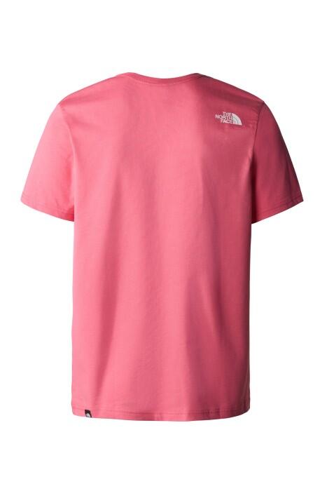 Fıne Alpıne Equıpment Tee 3 - Eu Erkek T-Shirt - NF0A4SZU Pembe - 2