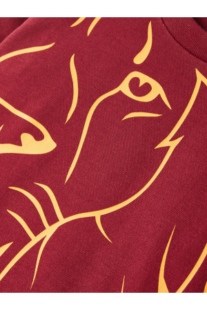 Galatasaray Bebek Sweatshirt B232128 Bordo - 2