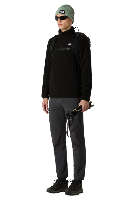 Glacıer Fleece 1/4 Zıp Erkek Polar - NF0A8D0Q Siyah - 2