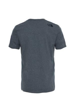 Mountain Line Tee - Eu Erkek T-Shirt - NF00A3G2 Gri - 2