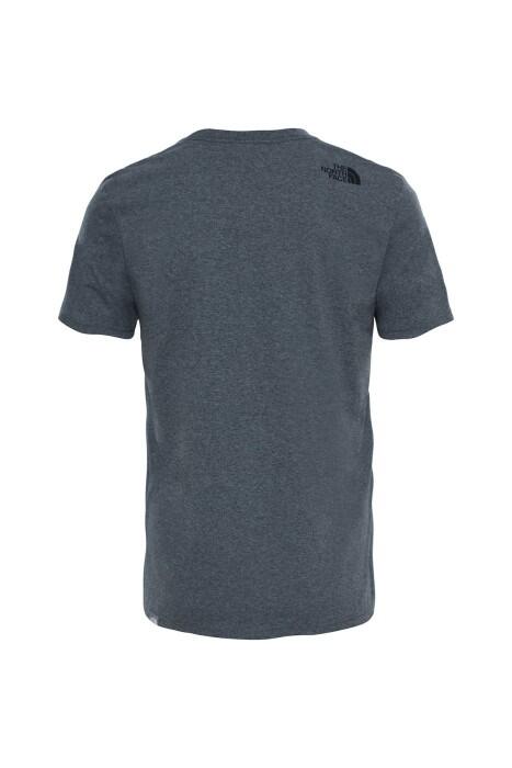 Mountain Line Tee - Eu Erkek T-Shirt - NF00A3G2 Gri - 2
