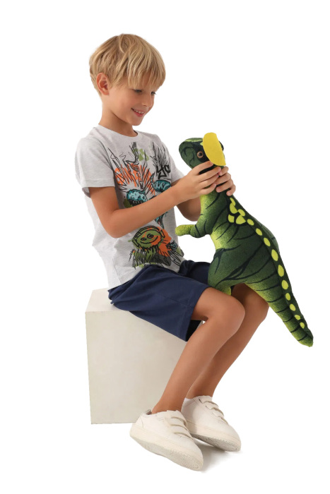 RolyPoly Erkek Çocuk Bermuda Takım - RP3364-G Gri - 3