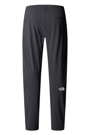 Speedlıght Regular Erkek Pantolon - NF0A8EKQ Asfalt Gri - 2