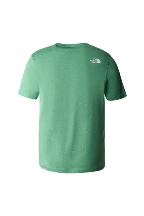 S/S Easy Tee Erkek T-Shirt - NF0A2TX3 Yeşil