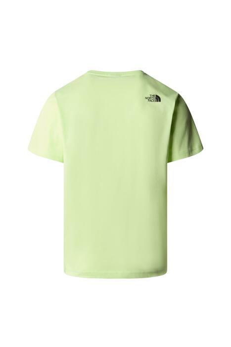 S/S Fine Tee Erkek T-Shirt - NF0A87ND Canlı Yeşil - 2