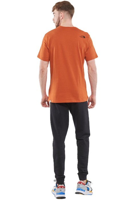 S/S Mountain Line Tee Erkek T-Shirt - NF0A7X1N Bronz/Neon Sarı
