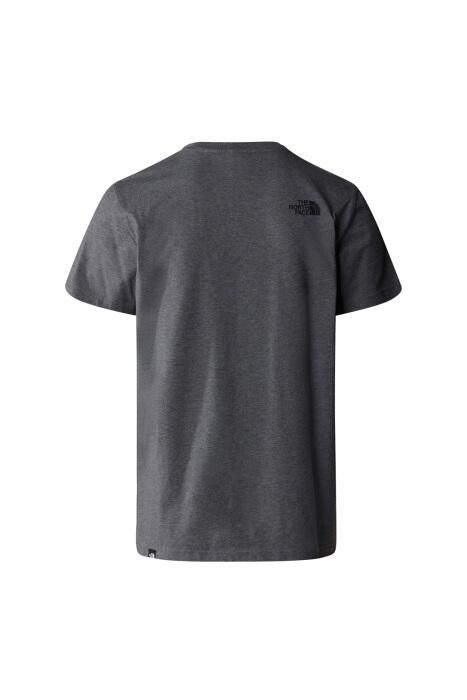 S/S Simple Dome Tee Erkek T-Shirt - NF0A87NG Gri Menanj - 2