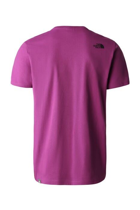 S/S Woodcut Dome Erkek T-Shirt - NF0A827H Mor - 2