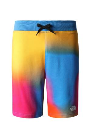 Standard Light-Eu Erkek Short - NF0A3S4E Renkli - 1