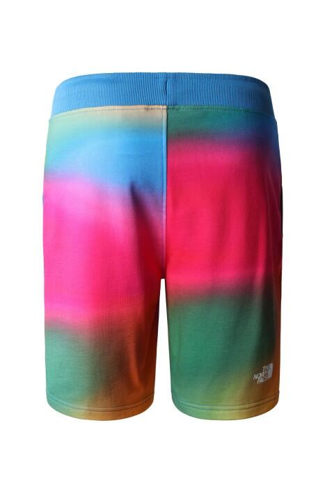 Standard Light-Eu Erkek Short - NF0A3S4E Renkli - 2